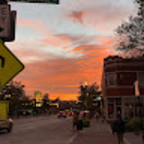 Meet your Posher, Chloe - Picture 1 of 1